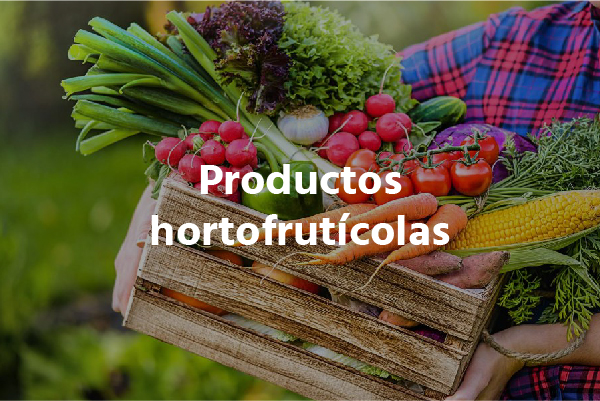 Productos Hortofruticulas Imagen